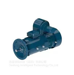 200 kiBasatts de haute précision de 0.05%FS de moteur d'essai de Dyno